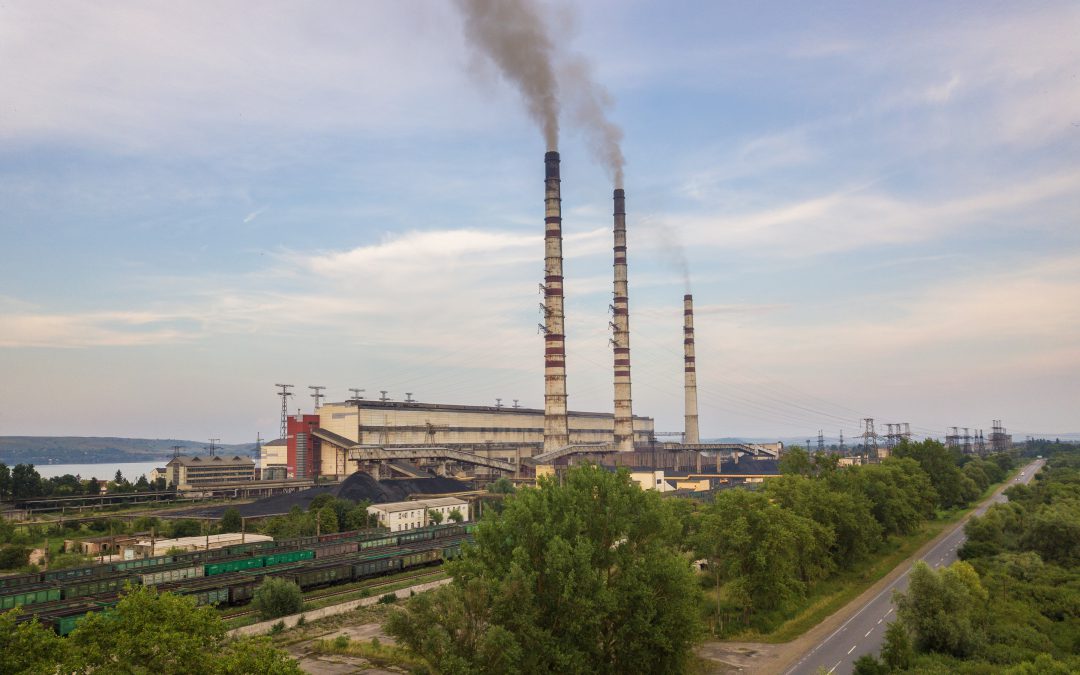 Mobilo’s Contribution to World Environment Day 2021